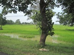 33348IMG_5688.JPG