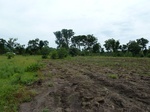 18430P1000266.JPG