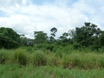 25760P1020179.JPG