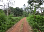 46315CIMG0604.JPG