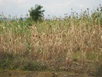 32181Picture 1711.jpg