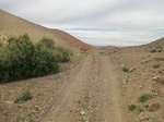 37070CIMG0867.JPG