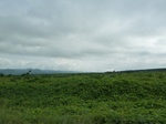 25848P1020267.JPG