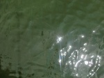 58369CIMG2818.JPG