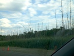 57739IMG_1019.JPG