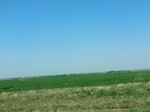 55298CIMG1351.JPG