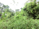 48038CIMG4375.JPG