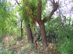 1778224042008(40).JPG