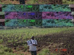 10781gt-140-wetland-moist-valley-bottom-flood-plain-03.jpg