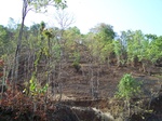 1717720042008(103).JPG