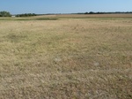 36094P1040983.JPG