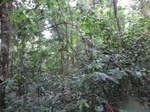 45646CIMG2731.JPG