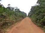 47333CIMG3670.JPG