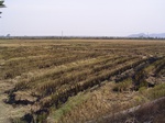 3216R0017250.JPG