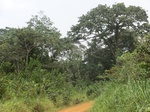 48946CIMG5283.JPG
