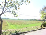 30205CIMG1739.JPG
