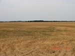 29814CIMG1208.JPG