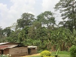 49571CIMG5908.JPG