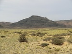37184CIMG0982.JPG