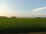 26113DSC01141.JPG