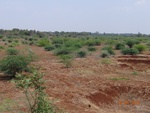 51905Tank ID 1800057 Tagarigatta.JPG