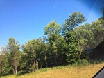 57920IMG_0883.JPG