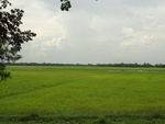 22047DSC00170.JPG