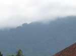 14598IMG_4969.JPG