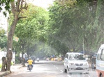 15781IMG_4870.JPG