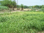 1768122042008(61).JPG