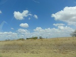 35483DSC02998.JPG