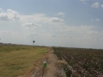 35215DSC02420.JPG