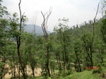 53664CIMG7042.JPG