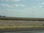 35224DSC02429.JPG