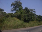 8962RIMG0037.JPG