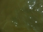 58141CIMG2467.JPG