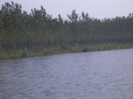 576R0015122.jpg