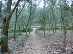 52975CIMG4027_调整大小.JPG