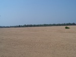 530201052008(46).JPG