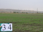 10228034-Farm land (Surface water) winter wheat-a.jpg