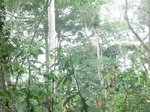 48554CIMG4891.JPG