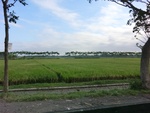 31312CIMG1174.JPG