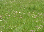 21569P1010393.JPG