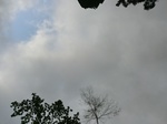 46001CIMG0290.JPG