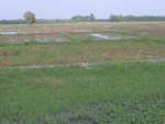 34618RIMG0085.JPG