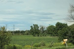 2024-09-24_16-03-07_28D879C3-E12B-46E5-B6F4-C5915F203DEB.jpeg