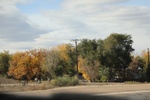 2022-11-02_16-09-59_7F4F7B6B-3BD2-41D6-A11B-8CB7777A958C.jpeg