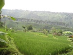 15160IMG_3980.JPG