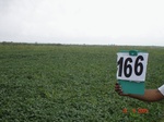 126080166a-rainfed-agriculture-soyabean-doublecrop-wheat.gif