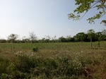 5844100_1509.JPG